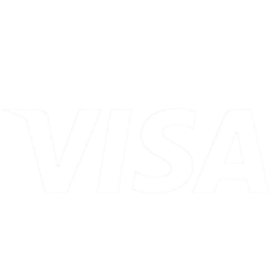 Visa card program logo