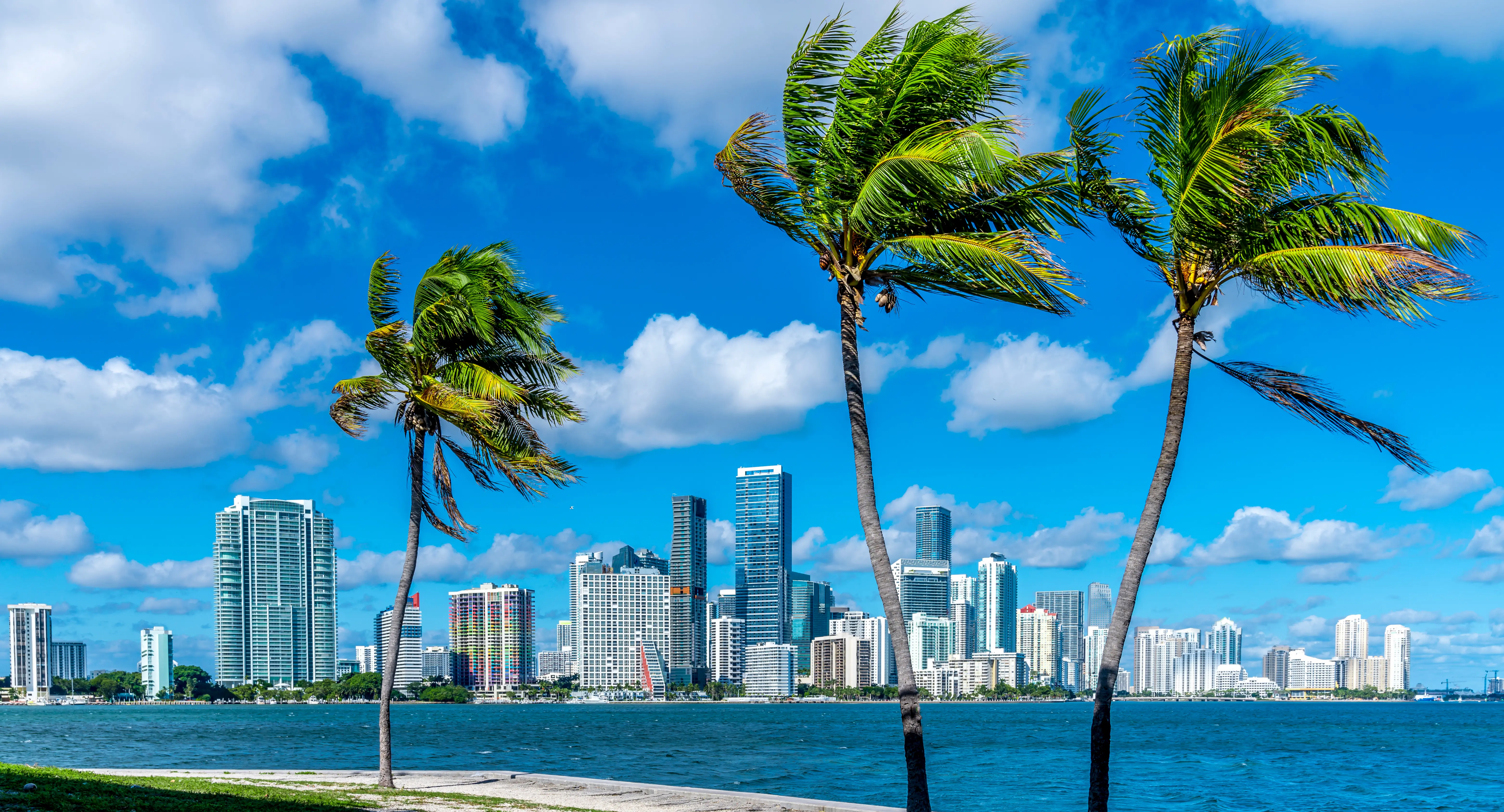 Miami city destination